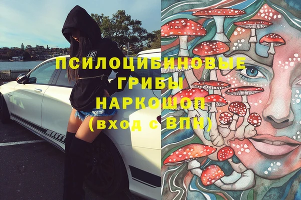 ALPHA PVP Заводоуковск